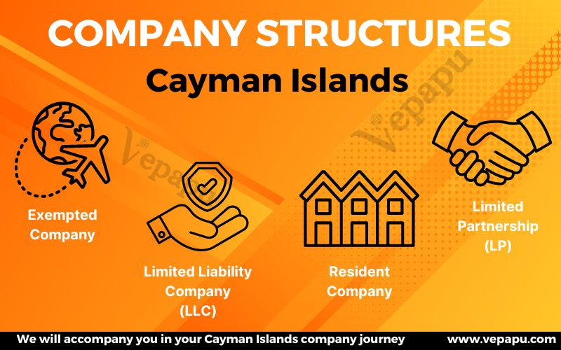Different types (structures) of companies in the Cayman slands