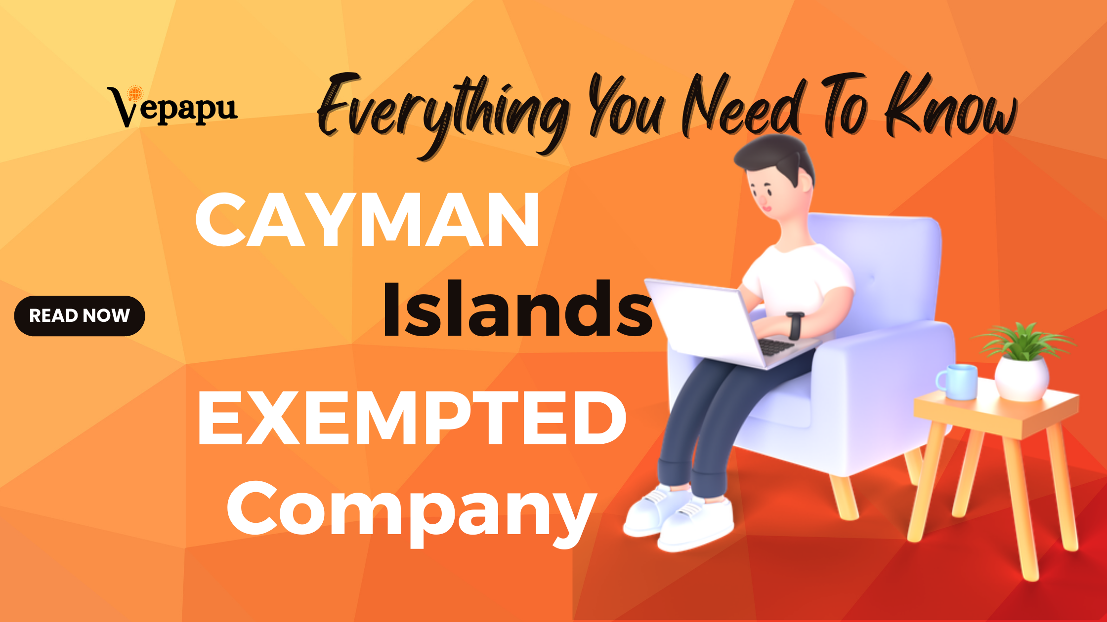 Cayman Islands Exempted Companies: A Guide to Offshore Companies