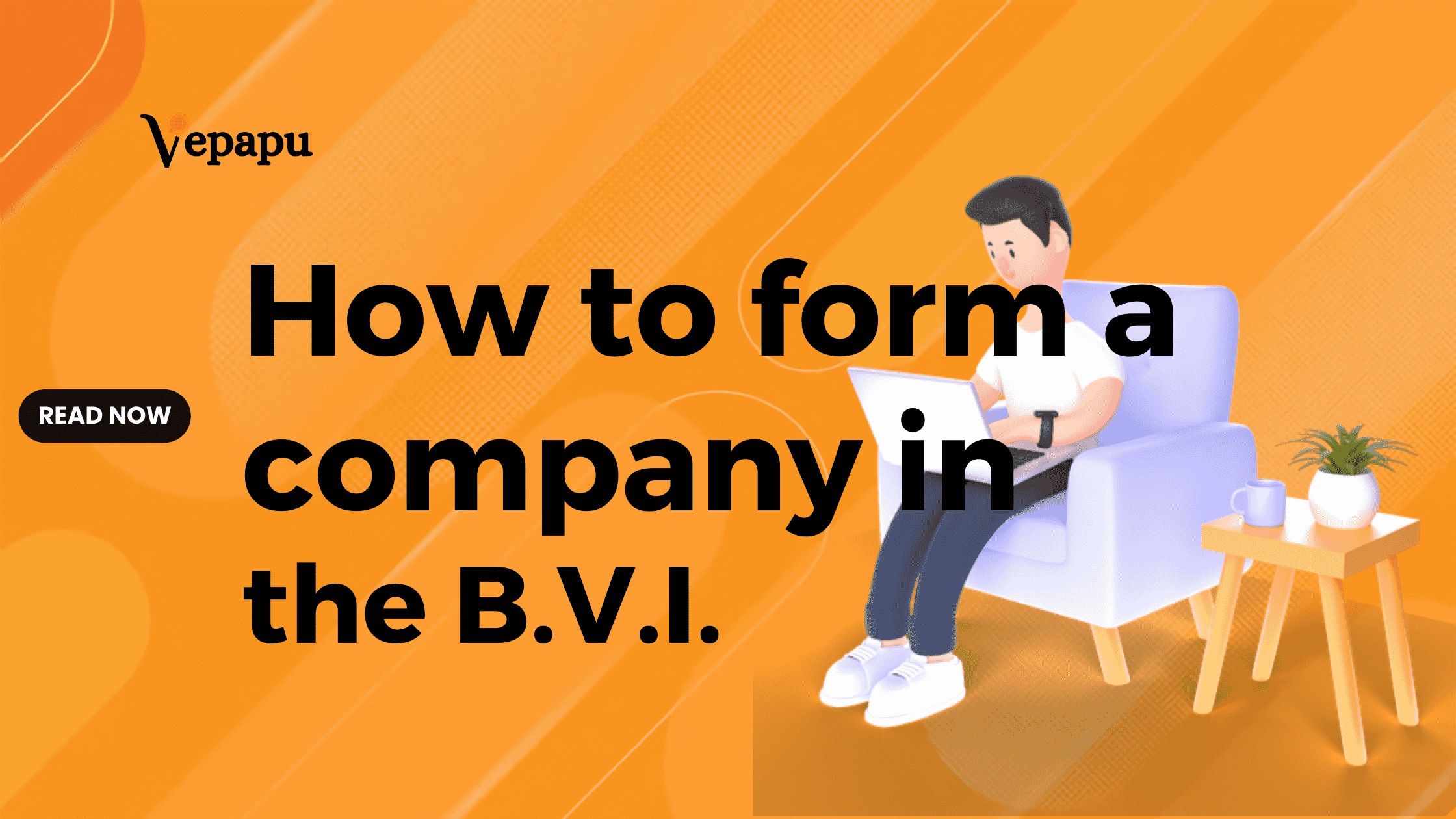 Form Your Company in the British Virgin Islands (BVI): A Detailed Step-by-Step Guide