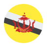 Brunei flag